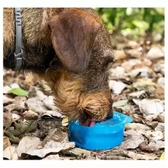 Sticla portabila pentru hrana si apa, 300 ml, Gonga®