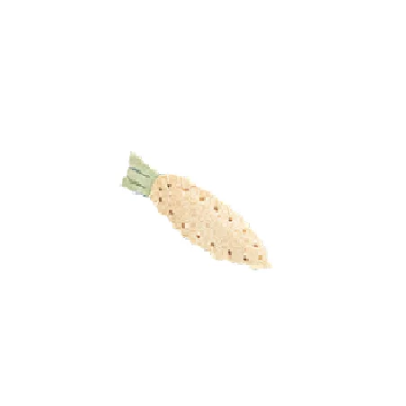 Jucarie din burete vegetal pentru rozatoare Trixie, nr. 61521, model morcov