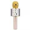 Microfon karaoke, wireless, boxa incorporata, egalizator, reincarcabil, Rotosonic