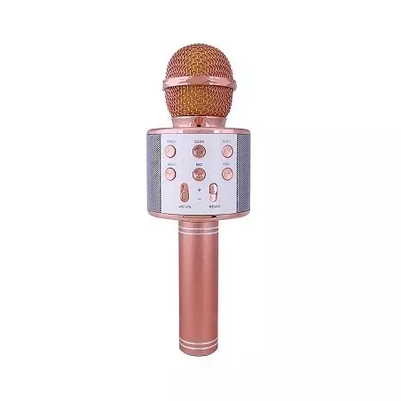 Microfon karaoke, wireless, boxa incorporata, egalizator, reincarcabil, Rotosonic