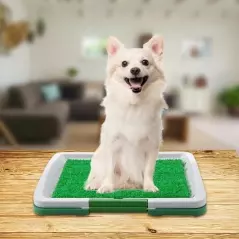 Covor toaleta pentru animale de companie, tip iarba artificiala, Gonga®