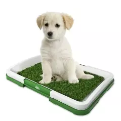 Covor toaleta pentru animale de companie, tip iarba artificiala, Gonga®