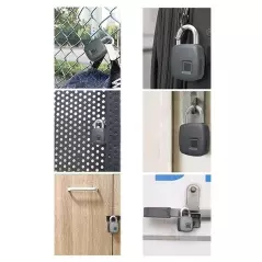 Lacat USB cu amprenta, Gonga®