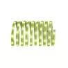 Banda LED Paulmann Basis DECO, 12 V, 3m,Gonga®
