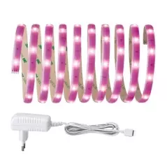 Banda LED Paulmann Basis DECO, 12 V, 3m,Gonga®