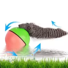 Jucarie de apa Castorul jucaus,Gonga®
