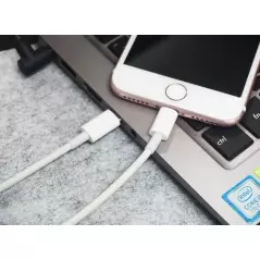 Cablu date adaptor, iPhone – Type-C, Fast Charge, Gonga