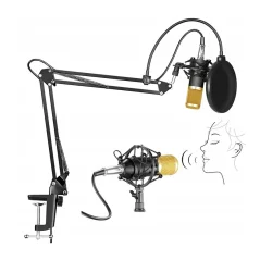 Set microfon omnidirectional cu condensator de studio BM800, auriu