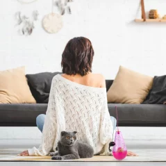 Jucarie interactiva pentru pisici, 3 in 1, Gonga®