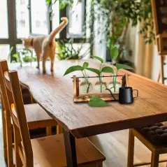 Vaza hidroponica cu trei vase de sticla, Gonga®