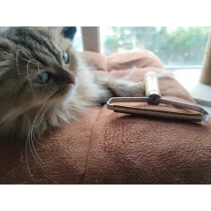 Dispozitiv pentru indepartarea scamelor, Gonga®