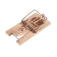 Set 2 mini capcane pentru soareci, Gonga®