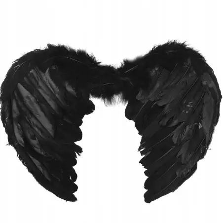 Aripi de inger, 60X40 cm, Gonga®