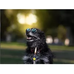 Ochelari de soare pentru caini si pisici,8 x 3x 7,5 cm, Gonga®