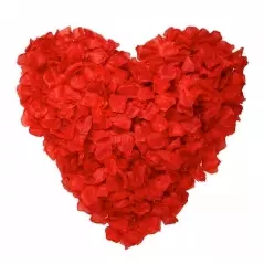 Petale de trandafir artificale pentru diverse evenimente,3000 bucati,Gonga
