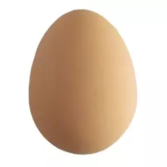 Minge săltăreață în formă de ou, Gonga
