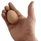 Minge săltăreață în formă de ou, Gonga®
