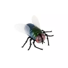 Jucarie in forma de insecta cu telecomanda, Gonga® - Verde