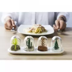 Set suport și 4 recipiente pentru condimente, Four Seasons, Gonga®