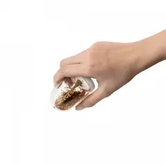 Set suport și 4 recipiente pentru condimente, Four Seasons, Gonga®