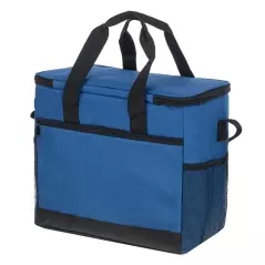Geanta termica pentru picnic/plaja, 16 L, Gonga®
