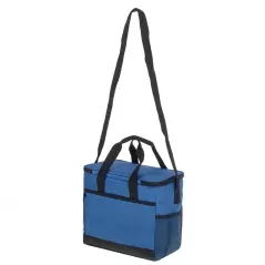 Geanta termica pentru picnic/plaja, 16 L, Gonga®