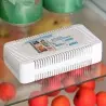 Odorizant compact pentru frigider cu carbune activ, 8x5.3x2.4 cm, din plastic, Gonga®