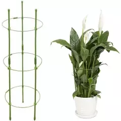 Suport inel pentru plante si flori, inaltime 60 cm, Gonga® - Verde