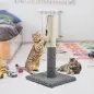 Ansamblu de joaca pentru pisici, tip turn cu jucarie, 45 cm, Gonga®