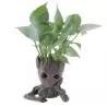 Ghiveci de flori din plastic, model Groot, 14x8 cm, Gonga®
