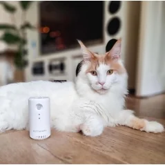 Purificator de aer smart PETONEER Odor Eliminator pentru animale, Detectare IR, Baterie 2200 mAh, Micro USB,Gonga®
