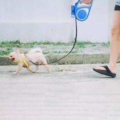 Lesa automata cu functie de blocare, lanterna led, lungime 5m, maxim 15kg, Gonga®