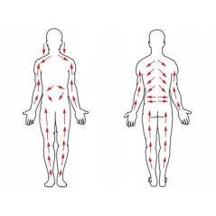 Perie pentru masaj corporal cu maner detasabil, lemn, 45x6.5 cm, Gonga®