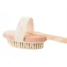 Perie pentru masaj corporal cu maner detasabil, lemn, 45x6.5 cm, Gonga®
