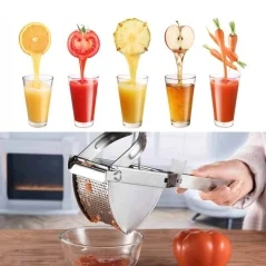 Presa pentru stoarcerea cartofilor, legumelor si fructelor, din otel inoxidabil, Gonga®