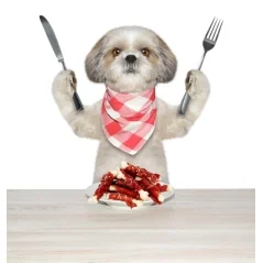 Recompense pentru caini, oase calciu invelite cu rata, 500g, Hau&Miau