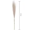 Pampas artificial, lungime 56,5 cm, Gonga®