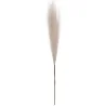 Pampas artificial, lungime 56,5 cm, Gonga®