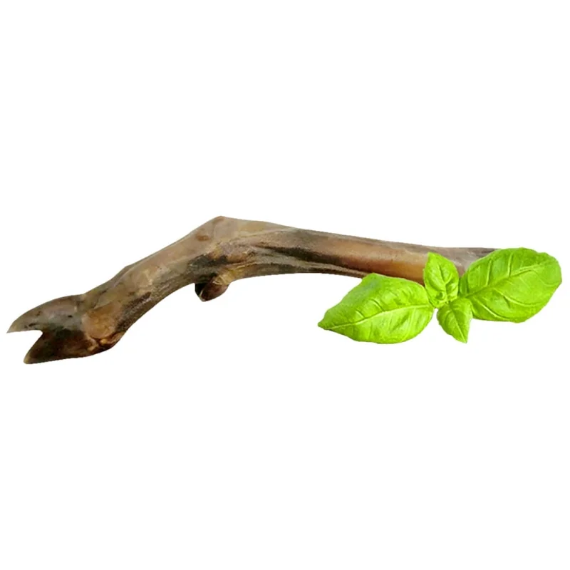 Recompensa pentru caini, copita naturală uscată de cerb, 30 cm, 120g, Petmax