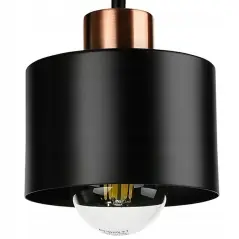 Lustra cu 4 brate metalice, montare pe tavan, 230V, 60W, E27, Gonga®