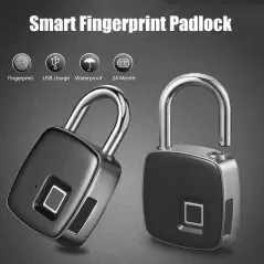 Lacat USB cu amprenta, Gonga®